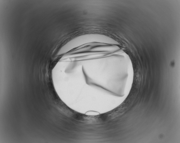 X0000116350516201001131109