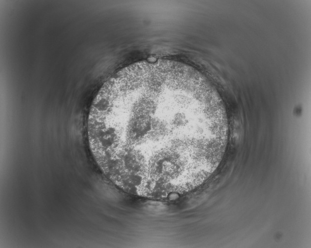 X0000116350519201001131109