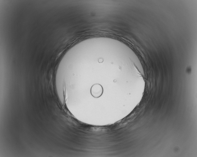 X0000116350520201001131109
