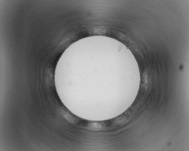X0000116350522201001131109