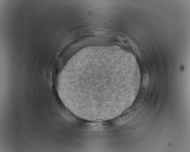 X0000116350524201001131109
