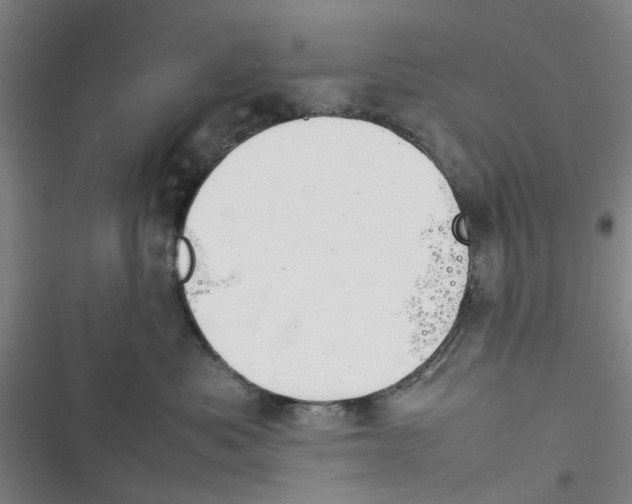 X0000116350525201001131109