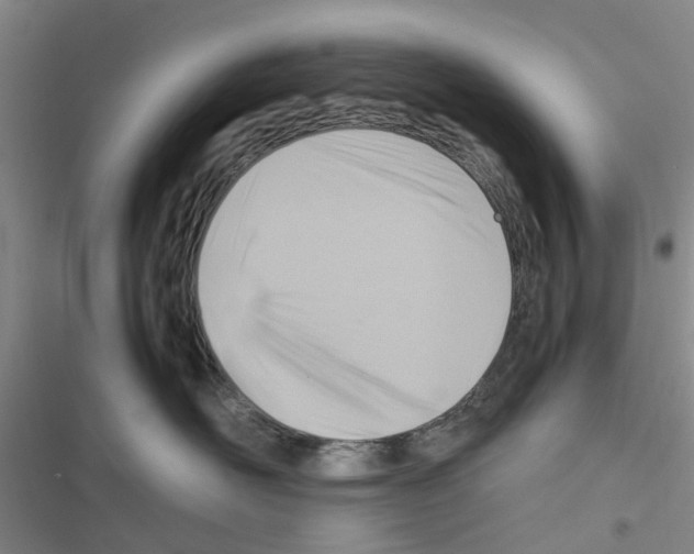 X0000116350526201001131109