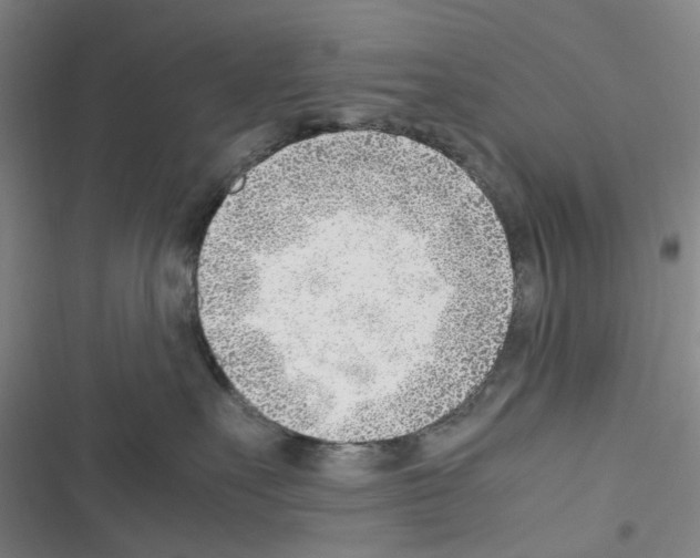 X0000116350527201001131109