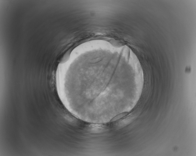 X0000116350528201001131109