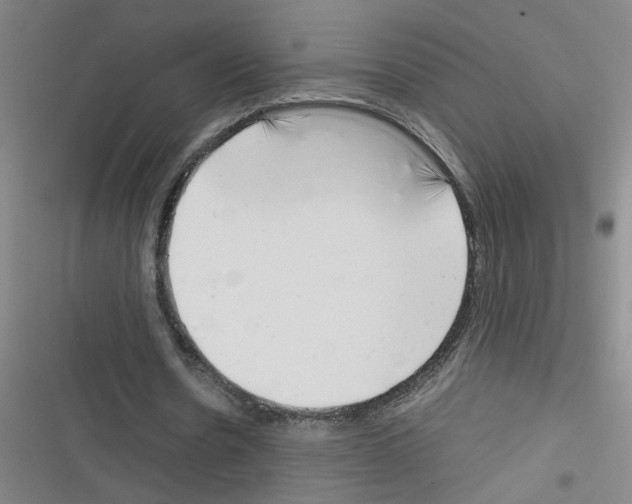 X0000116350530201001131108