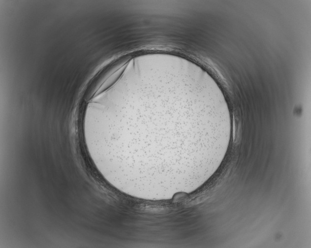 X0000116350531201001131108