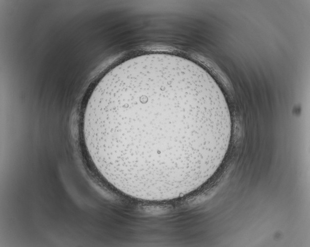 X0000116350533201001131108