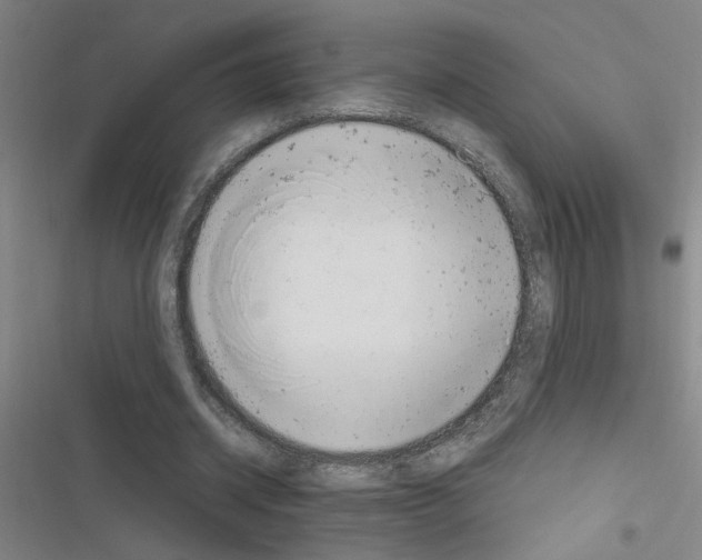 X0000116350534201001131108