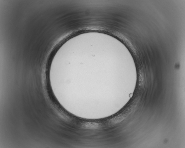 X0000116350535201001131108