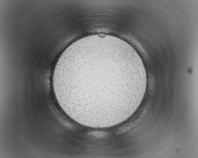 X0000116350537201001131108