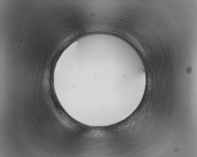 X0000116350538201001131108