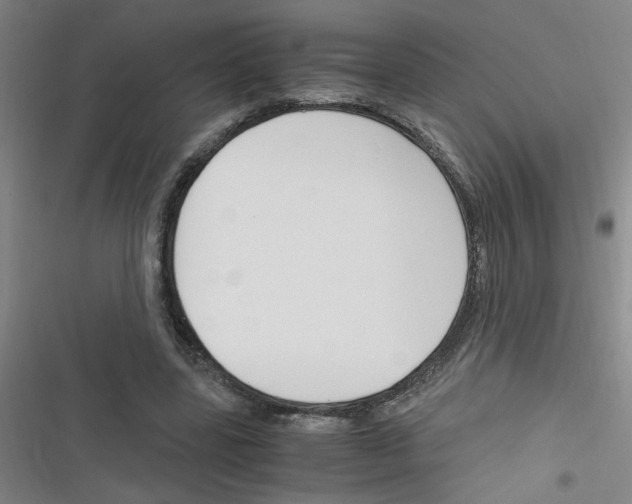 X0000116350539201001131108