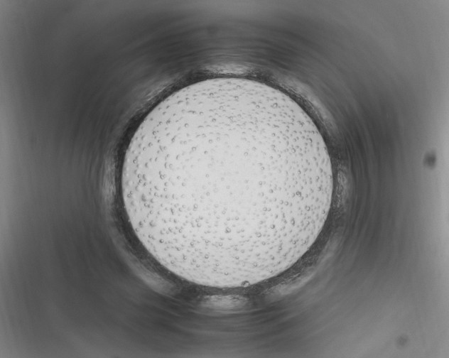 X0000116350541201001131108