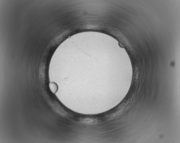 X0000116350542201001131108