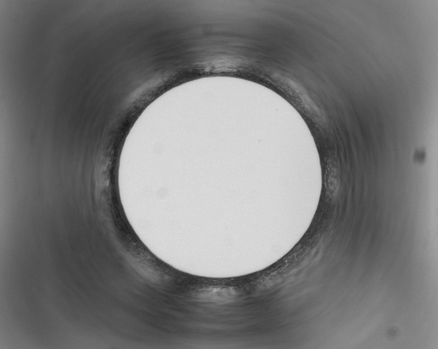 X0000116350543201001131108