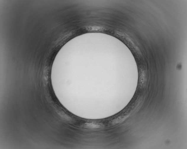 X0000116350545201001131108
