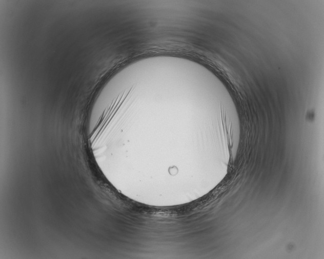 X0000116350546201001131108