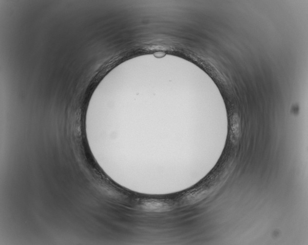 X0000116350547201001131108