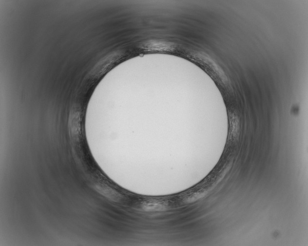X0000116350549201001131108