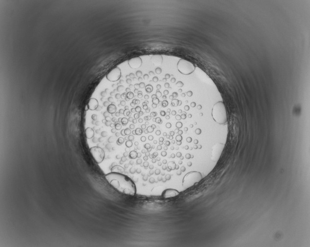 X0000116350550201001131108