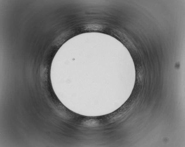X0000116350551201001131108