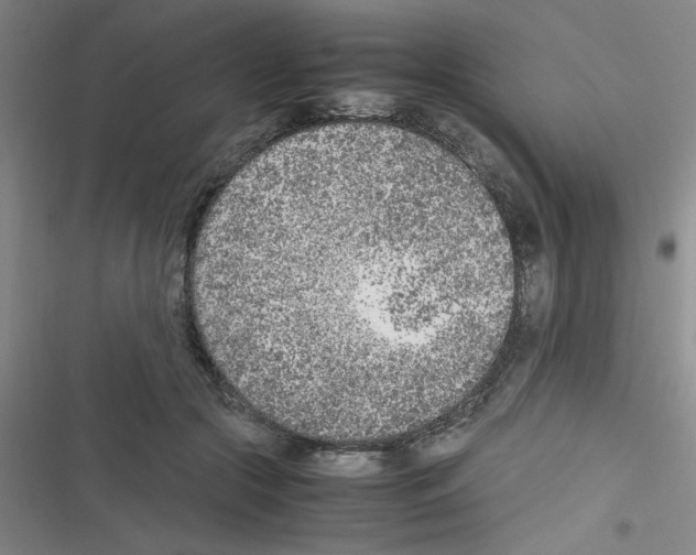 X0000116350553201001131108