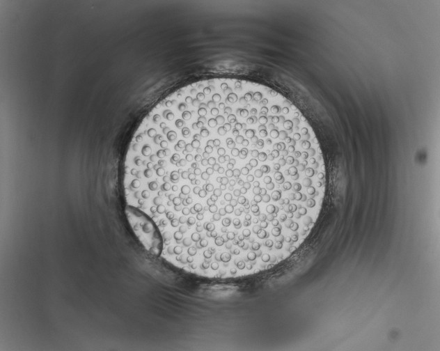 X0000116350554201001131108