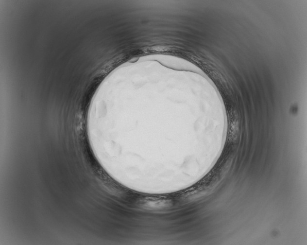 X0000116350555201001131108