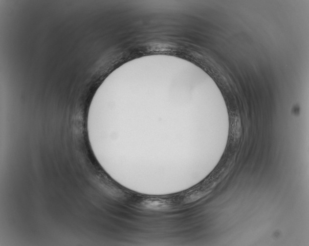 X0000116350557201001131108