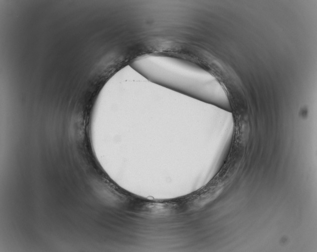 X0000116350558201001131108