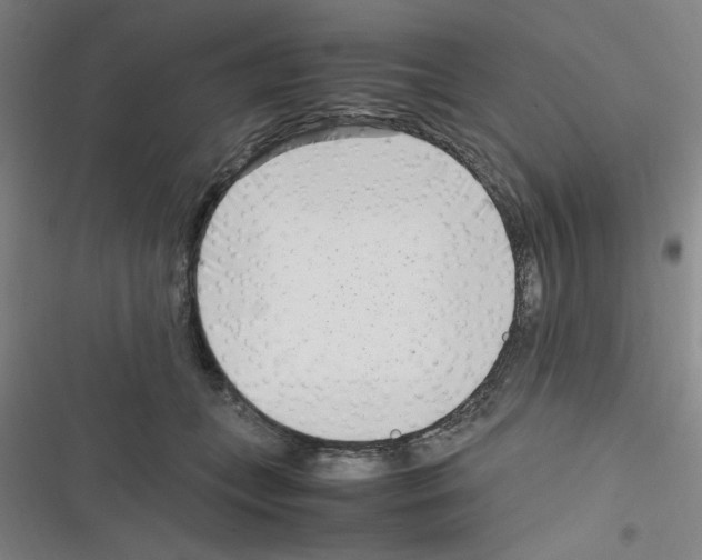 X0000116350559201001131108