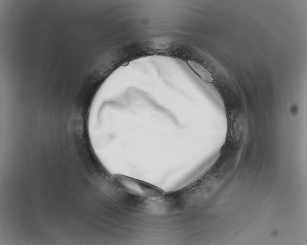 X0000116350562201001131108