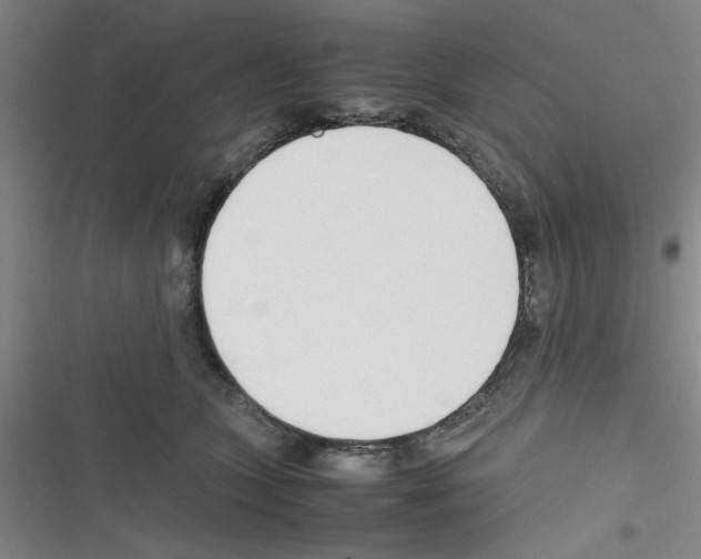 X0000116350563201001131108