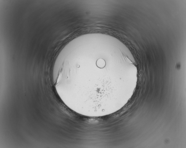 X0000116350566201001131108