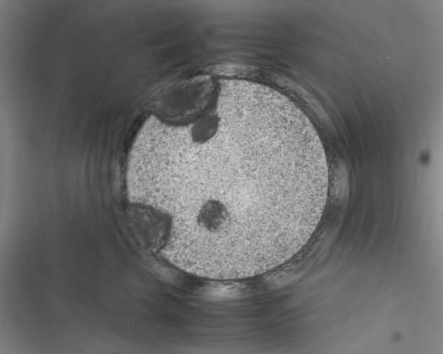 X0000116350569201001131109