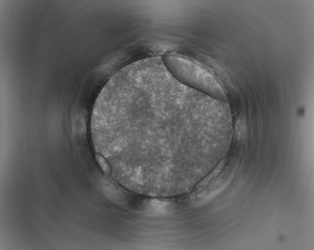 X0000116350570201001131109