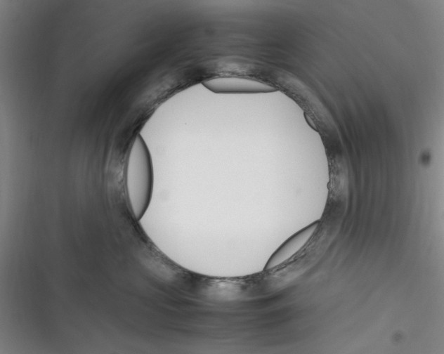 X0000116350573201001131109
