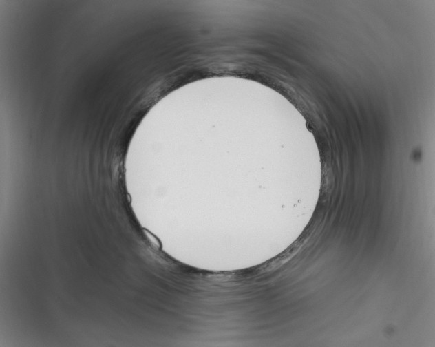 X0000116350574201001131109