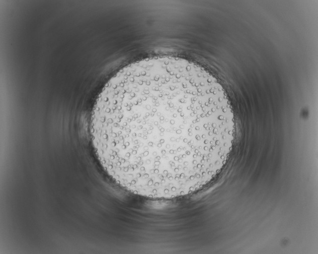 X0000116350575201001131109