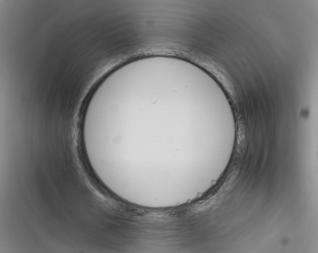 X0000116350578201001131108