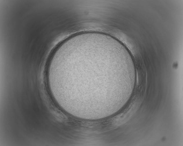 X0000116350579201001131108