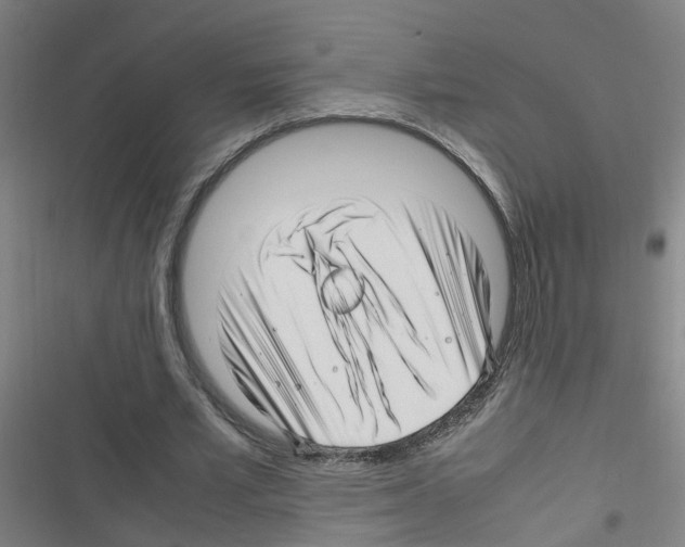 X0000116350581201001131108