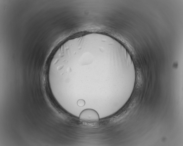 X0000116350582201001131108