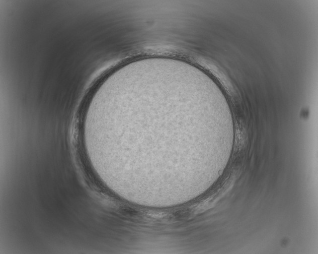 X0000116350583201001131108