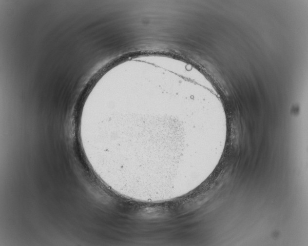 X0000116350584201001131108