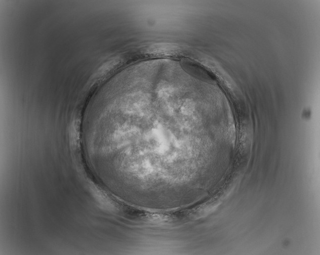 X0000116350585201001131108