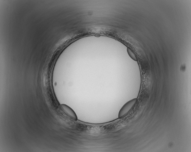 X0000116350587201001131108