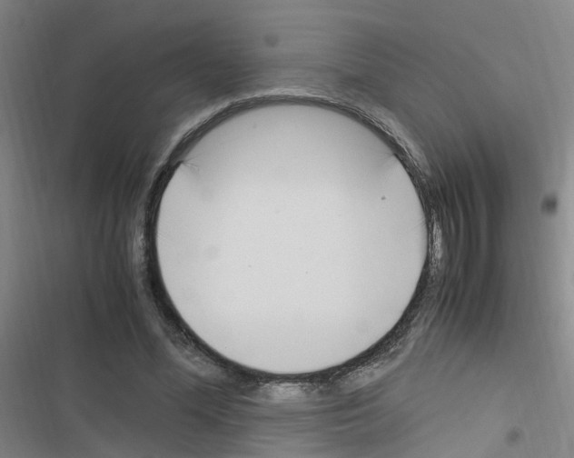 X0000116350588201001131108