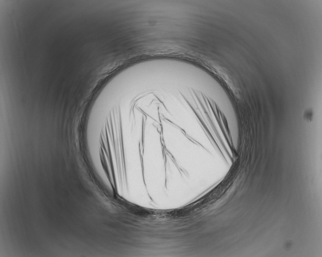 X0000116350589201001131108